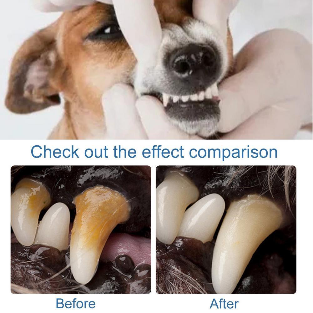 60ml Pet Oral Tartar Remover S - Teeth Whitening Yellow Teeth 评论和价格